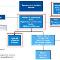 National dimension - structure