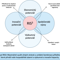 Smysl RIS3